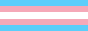 A badge of the transgender pride flag